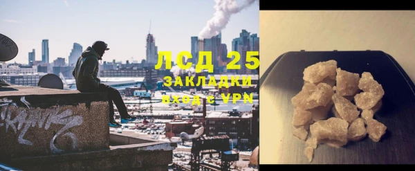 стафф Новозыбков