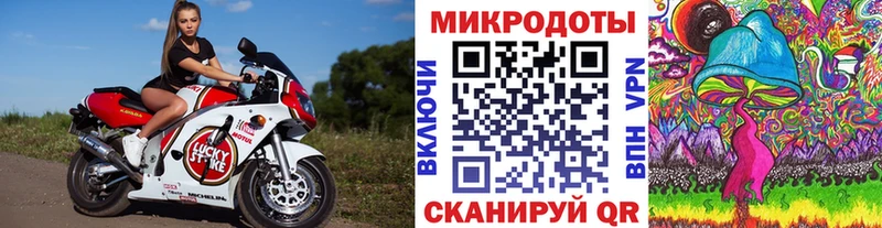 маркетплейс наркотические препараты  Лодейное Поле  Псилоцибиновые грибы ЛСД 